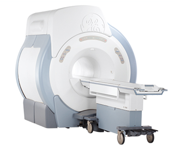MRI 사진